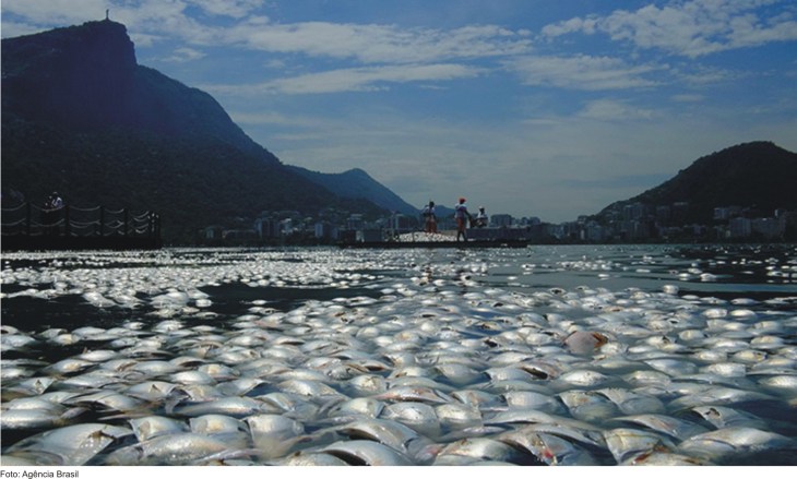 lagoa-rodrigo-de-freitas