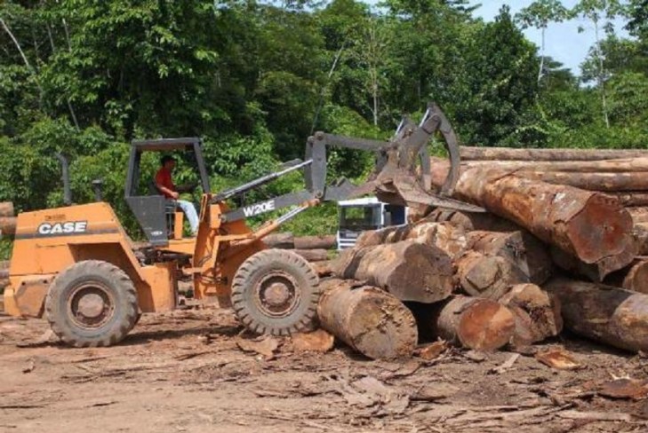 desmatamento-na-amazonia