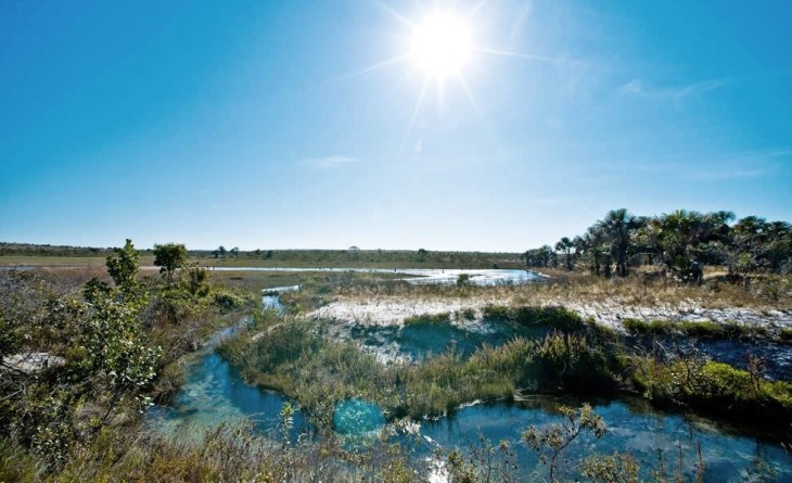 Nascente no Cerrado