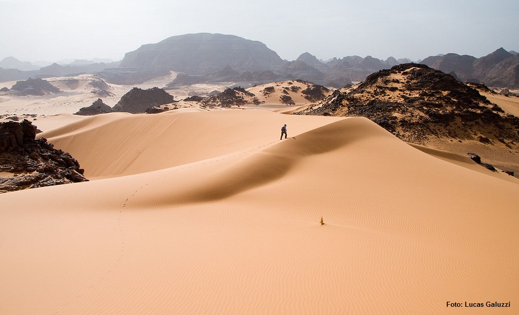 Saara - Lucas Galuzzi