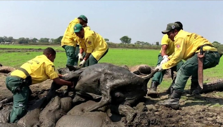 Seca na Ilha do Bananal