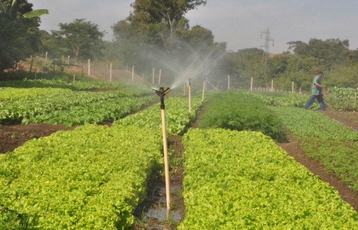 Irrigação de hortas