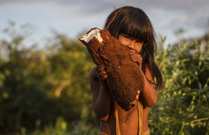 Agricultura Indígena