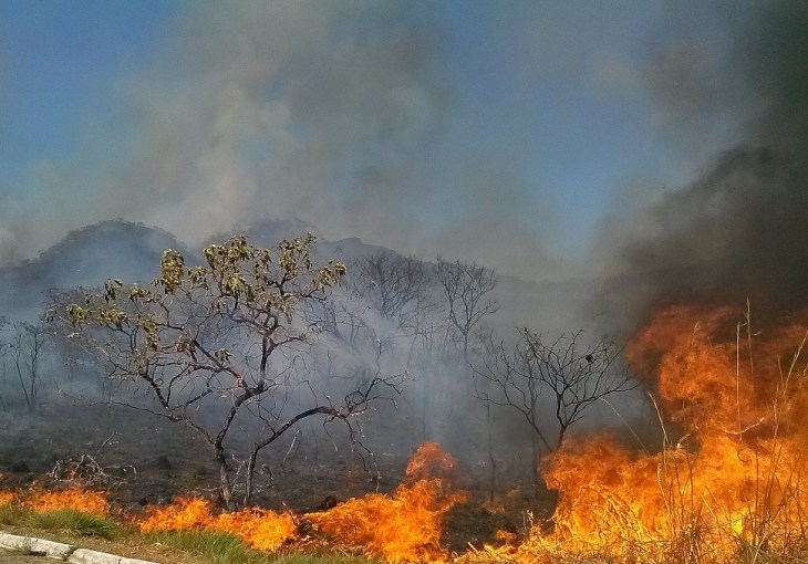Incêndio no Cerrado