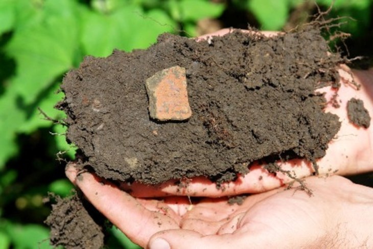 Terra preta de índio