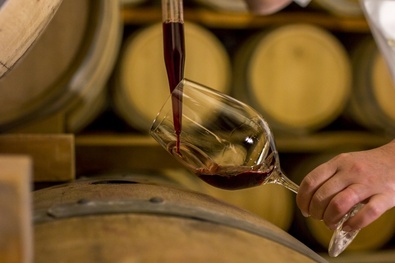 Vinhos da Campanha Gaúcha