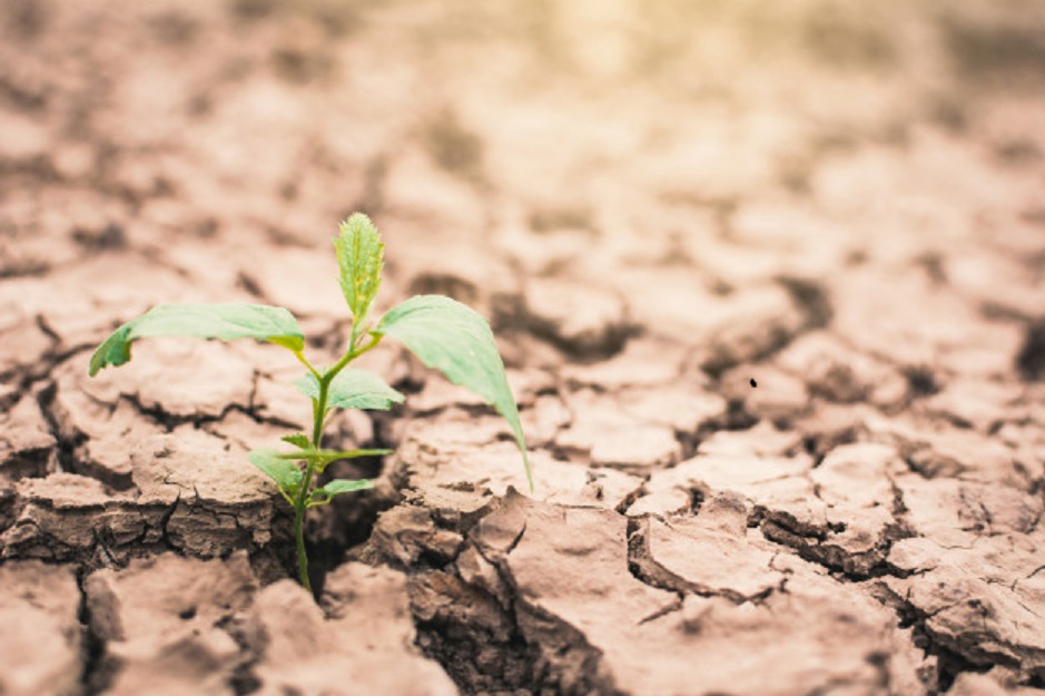 A tragédia de Brumadinho