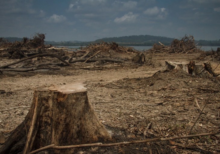 Desmatamento para formação de lagos de hidrelétricas