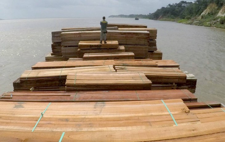 Exportação ilegal de madeiras na Amazônia