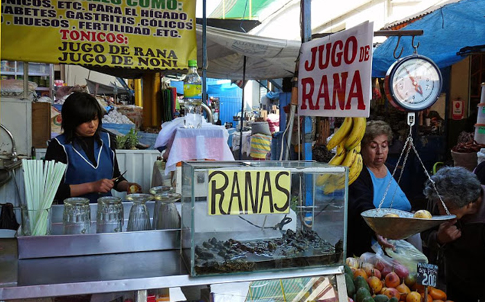 Jugo de rana no Peru