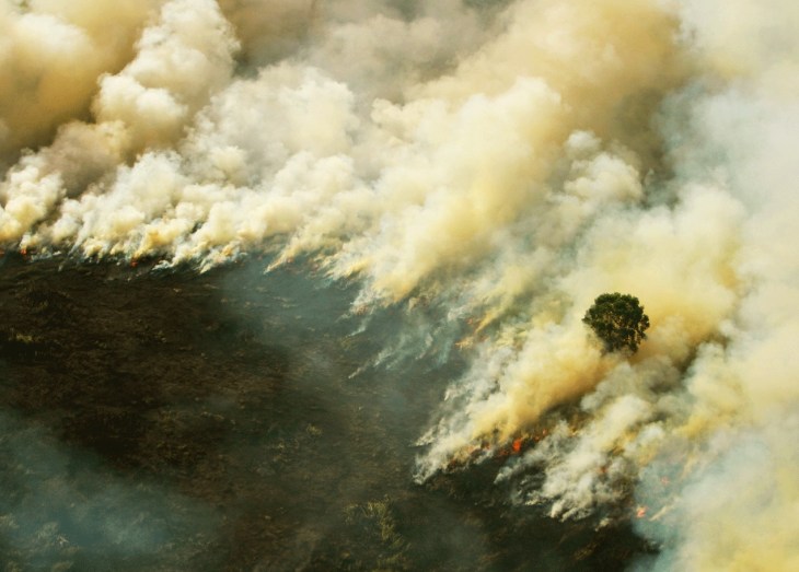 Incêndio na Indonésia
