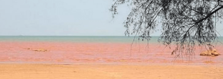 Mar Vermelho na Malásia