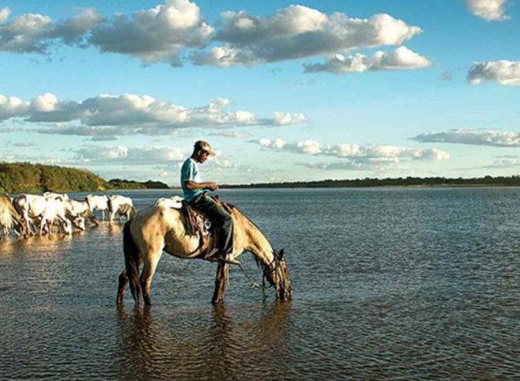 Margens do rio São Francisco